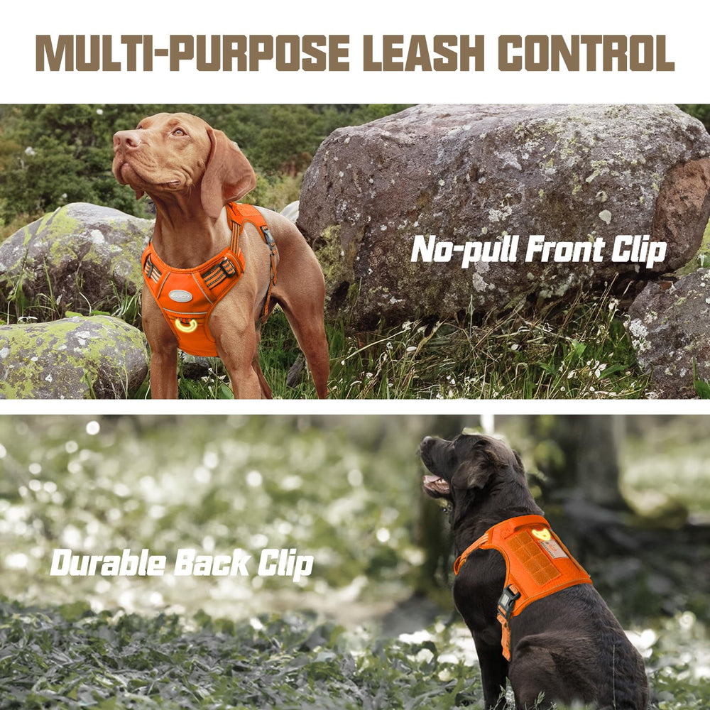AUROTH harness with breathable air mesh and padding for comfort