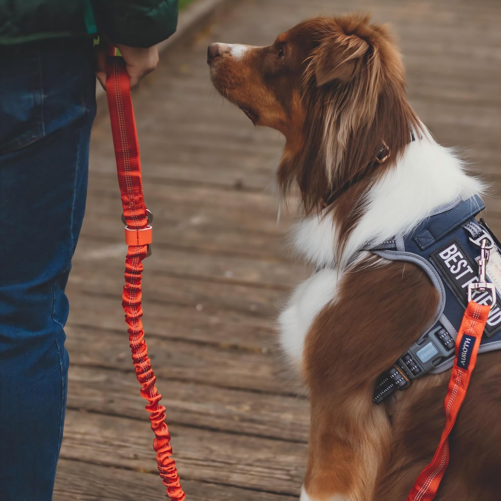 AUROTH Tactical Dog Harness padding and breathable mesh keeps dogs comfy