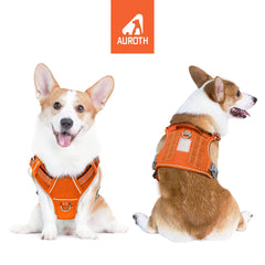 AUROTH Tactical Dog Harness - quick-release buckles for fast on/off.
