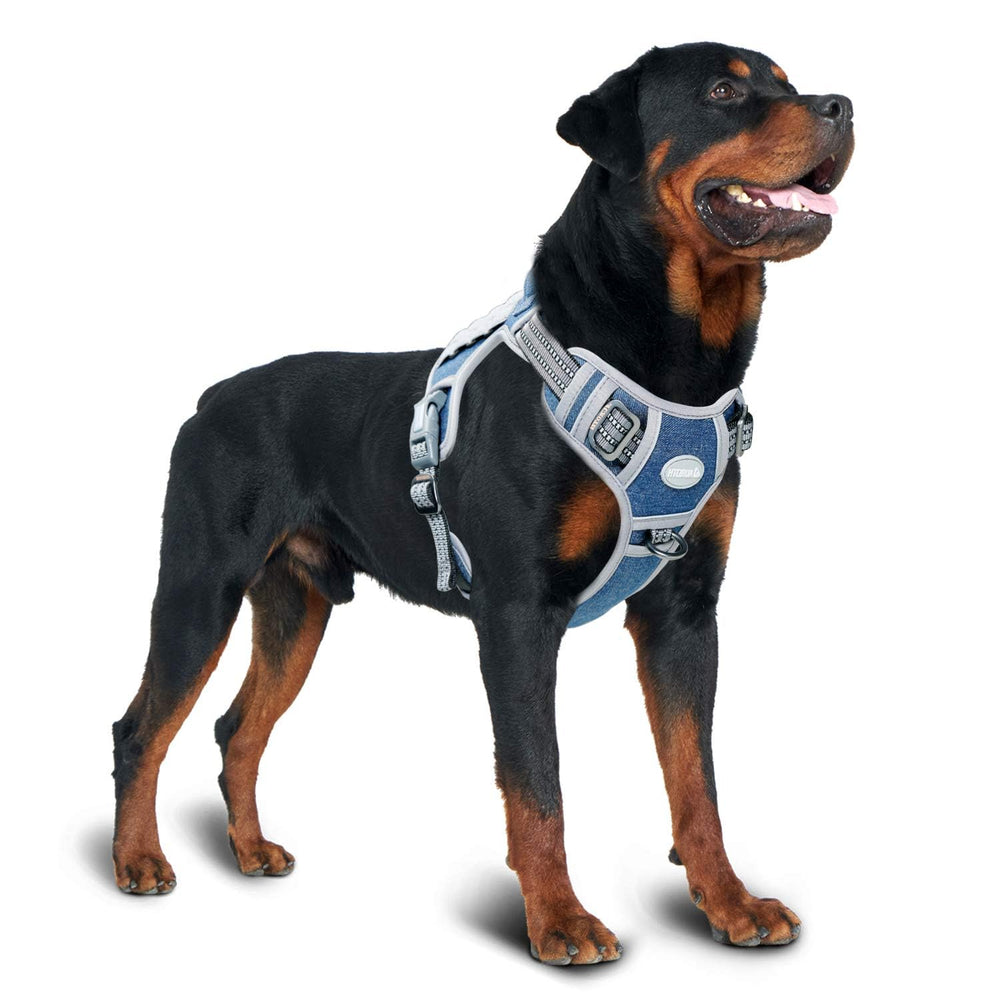 AUROTH reflective accents enhance visibility during dawn or dusk walks.