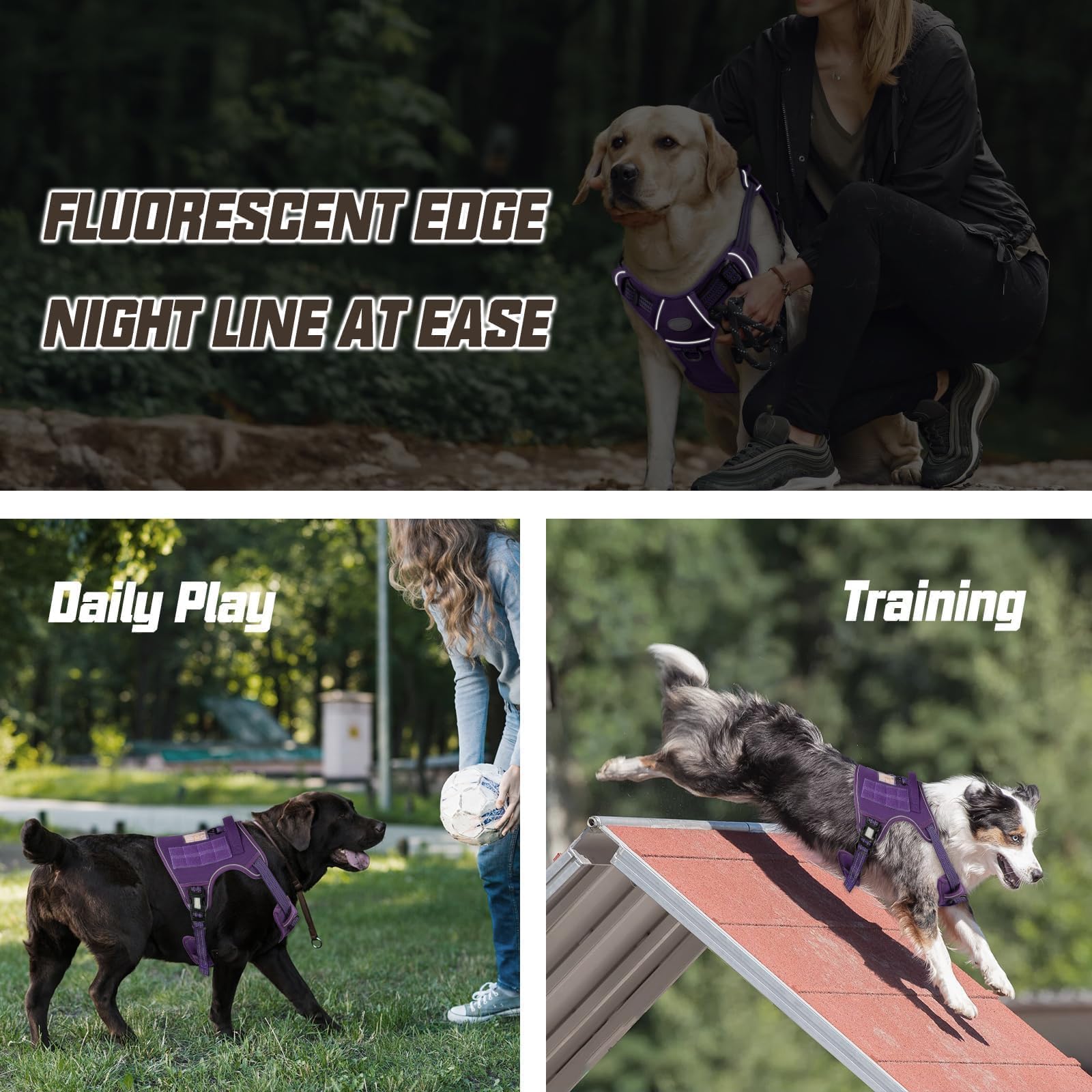 AUROTH Tactical Dog Harness Purple reflective strip closeup improves visibility in low light.