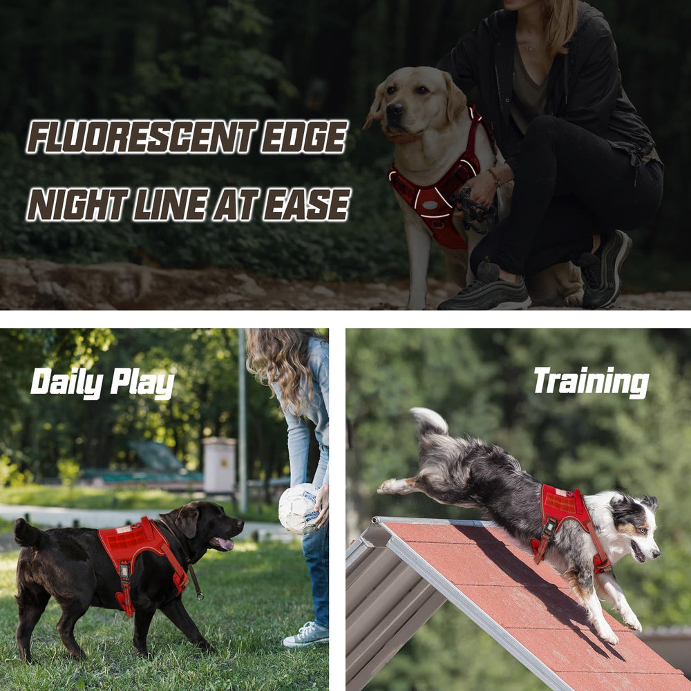 AUROTH Tactical Dog Harness reflective strip for safer evening walks.