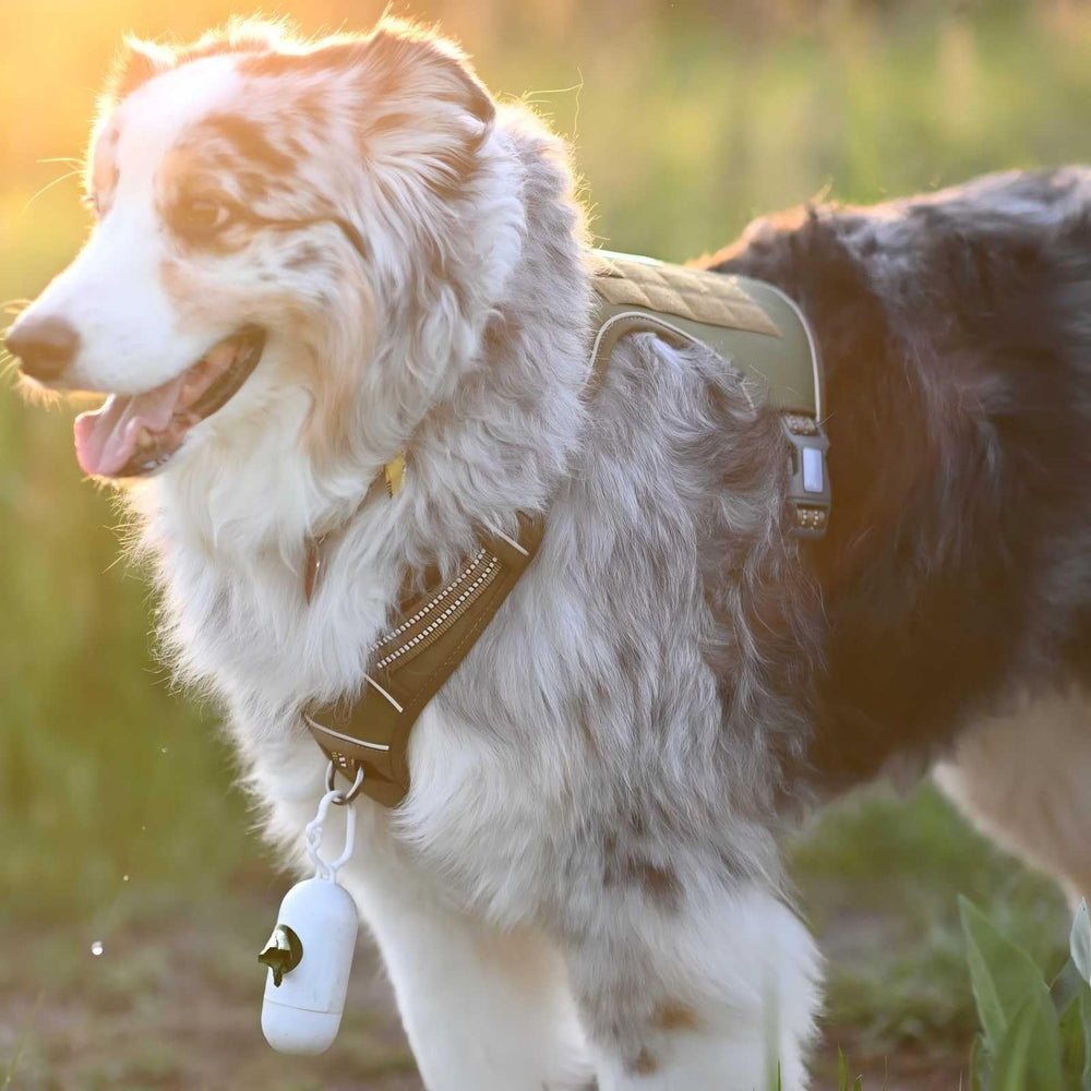 AUROTH reflective strips improve visibility during night walks.
