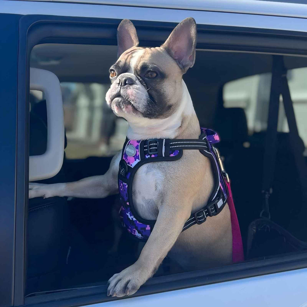 AUROTH reflective trim improves visibility during evening walks