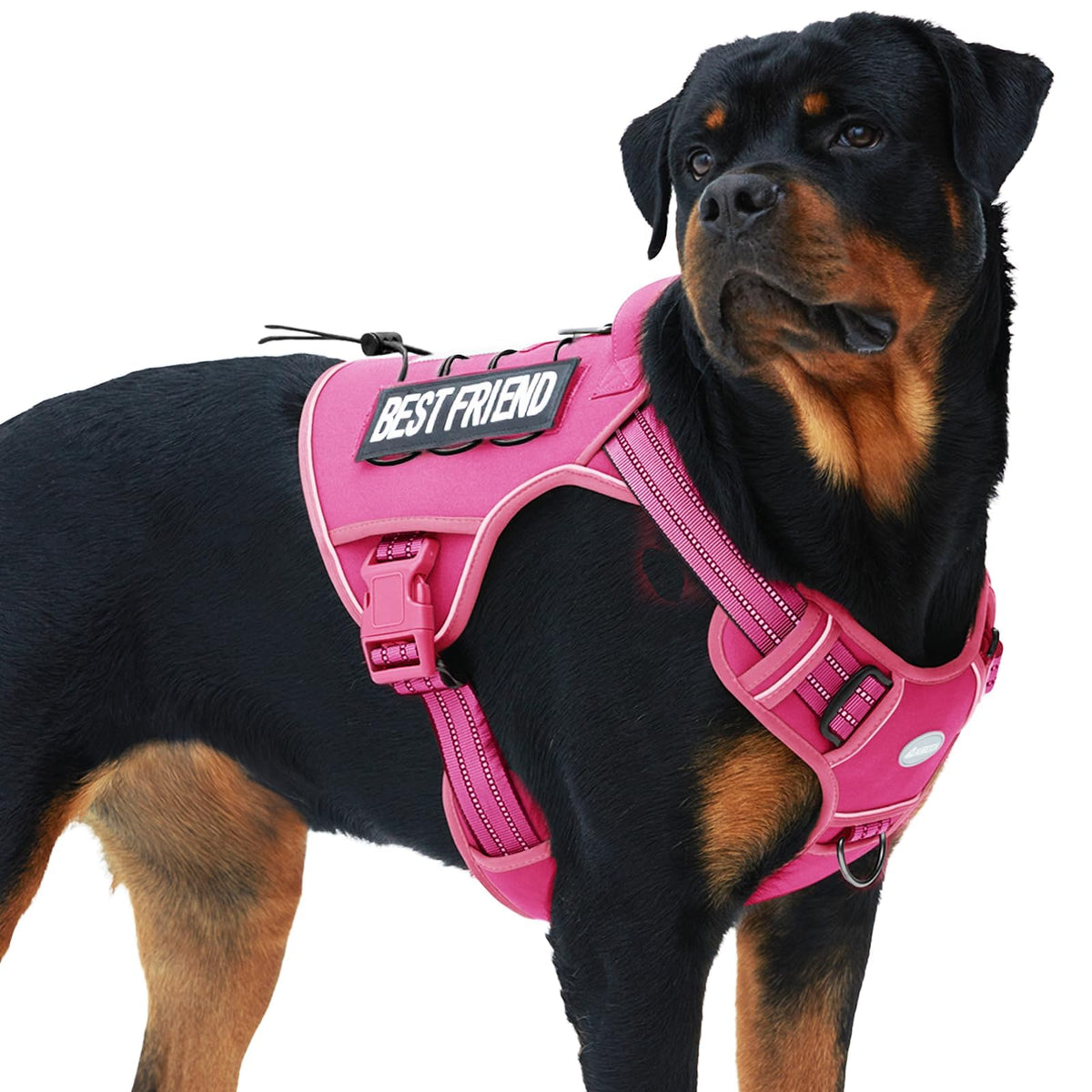AUROTH Tactical dog harness rose red XL front view highlights adjustable fit for comfortable control