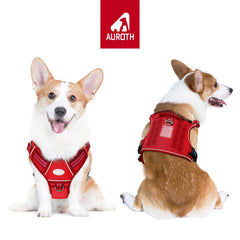 AUROTH Tactical Dog Harness side MOLLE demonstrates gear-carrying capability on adventures.