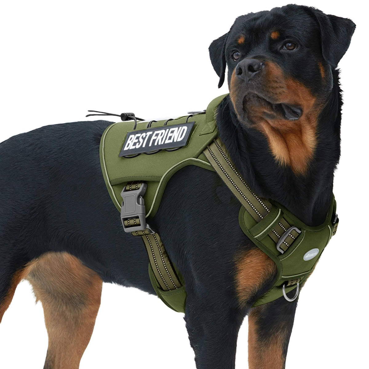 AUROTH Tactical Dog Harness side view shows durable build for large dogs and secure fit.