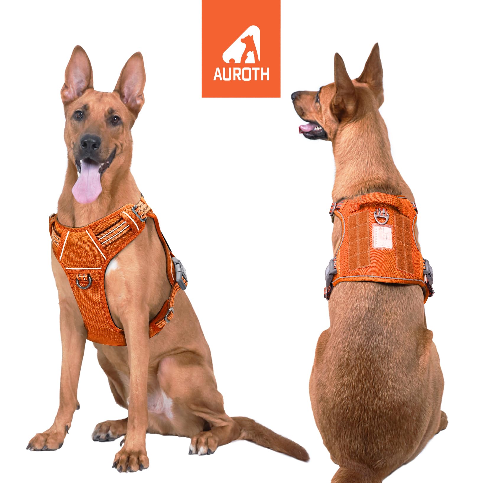 AUROTH four-size-range sizing-chart shows proper fit for breeds.