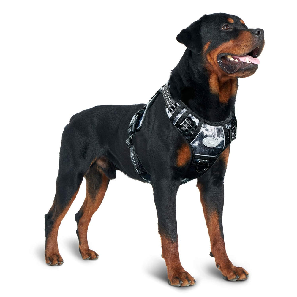 AUROTH Sizing guide helps owners choose the right fit.