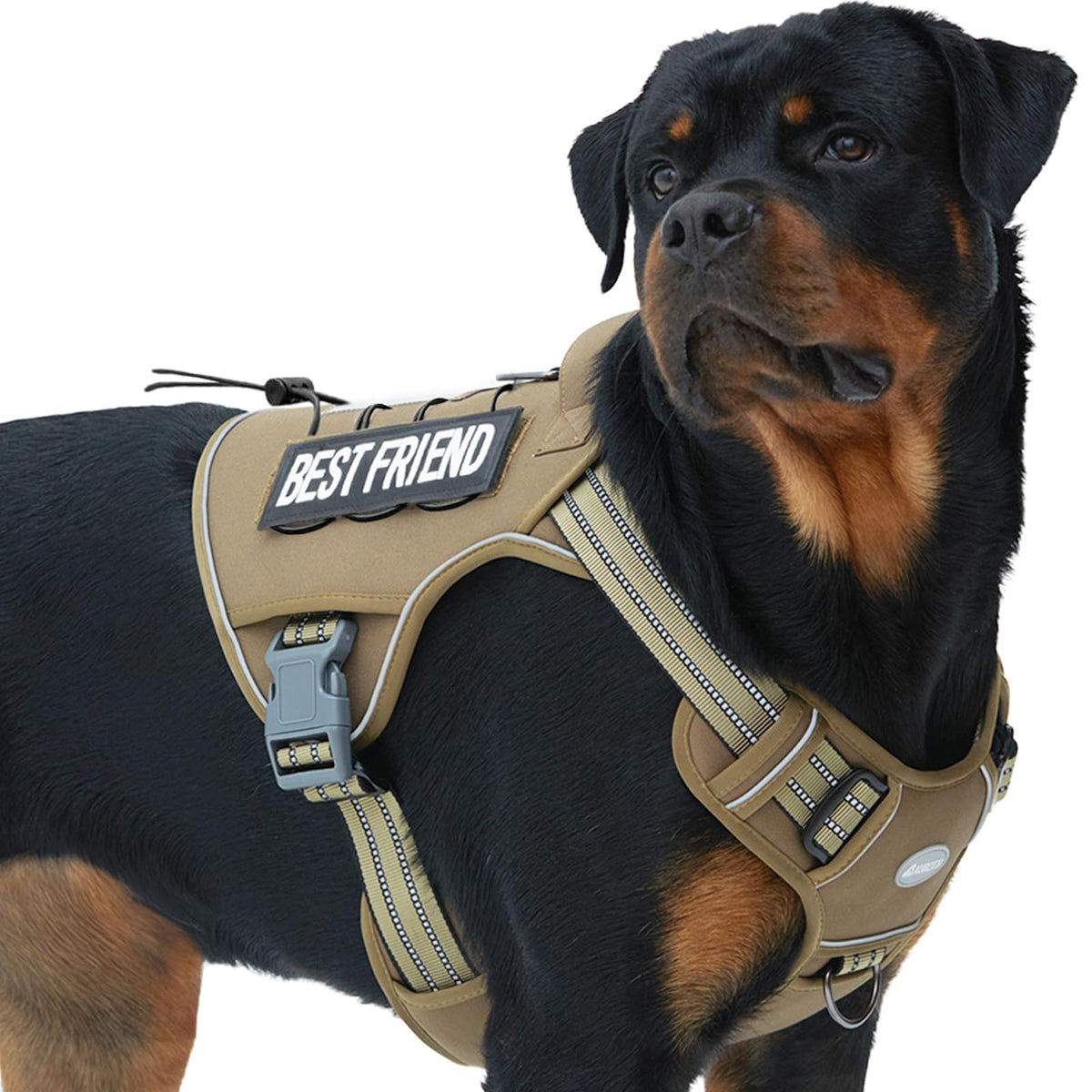 AUROTH Tactical Harness for large dogs with no-pull buckle for controlled walks