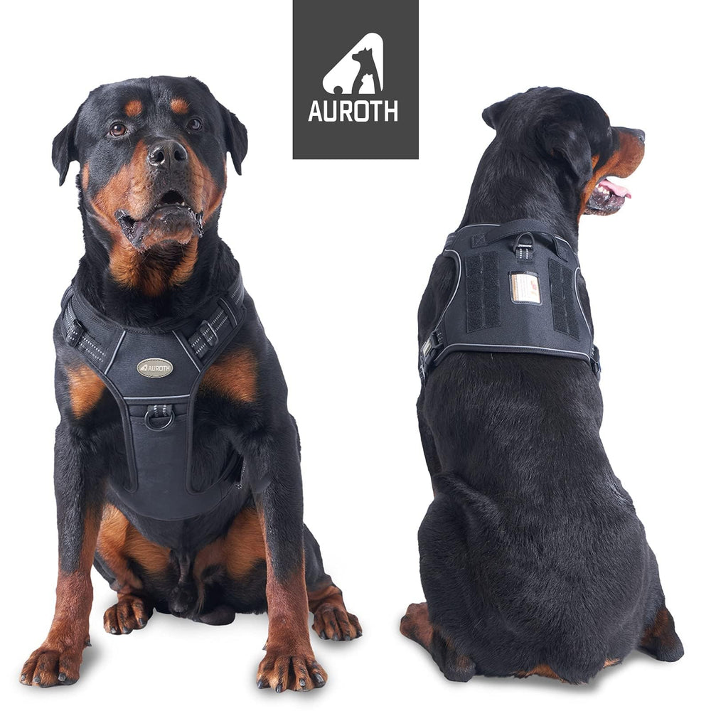AUROTH Harness MOLLE patches with BEST FRIEND ID badge for gear-ready outings.