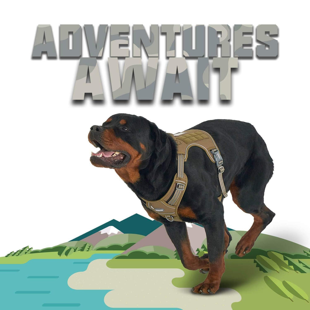 AUROTH tactical vest sized for small to large dogs with four sizes
