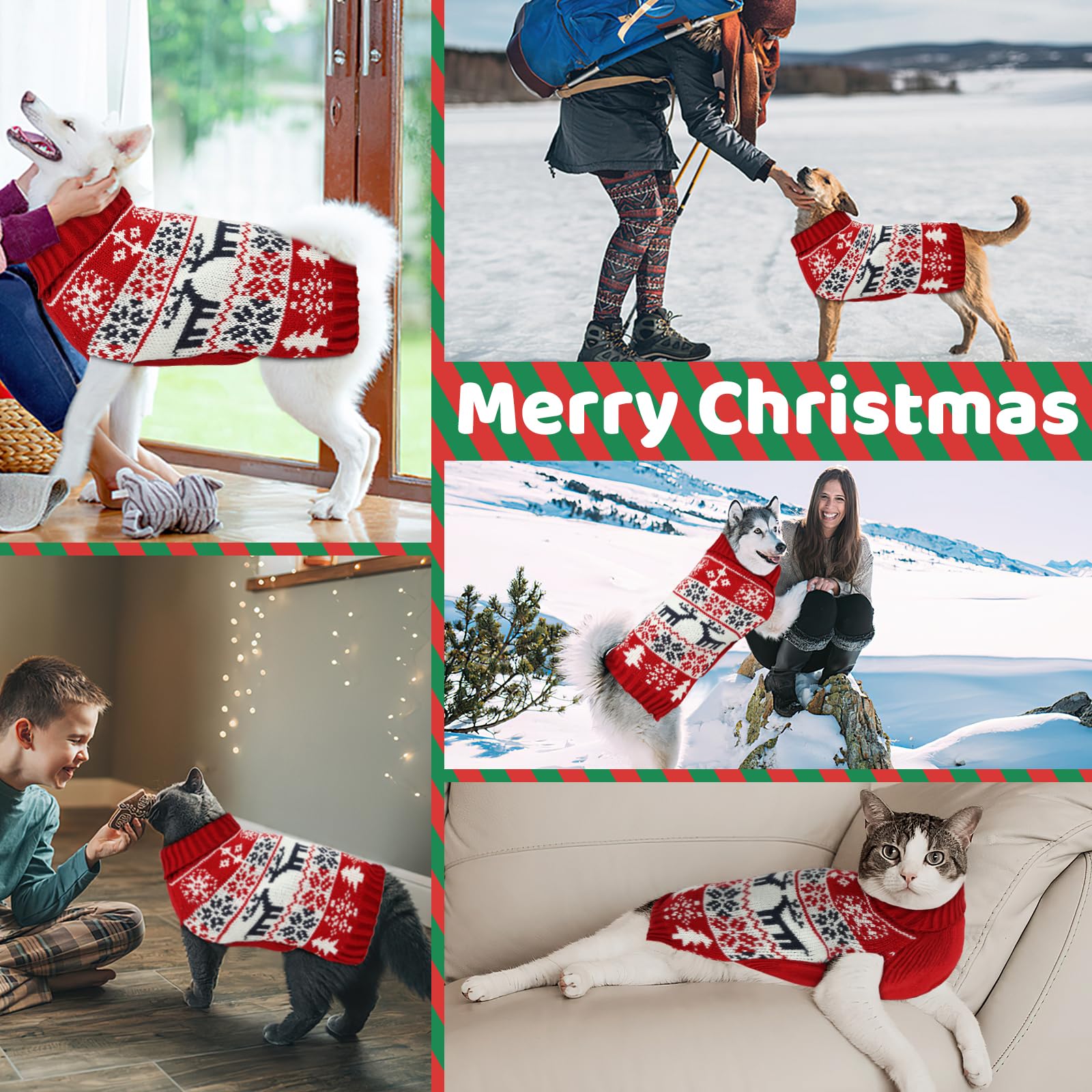 AURUZA dog clothes green M turtleneck style for extra warmth in cold outdoors.