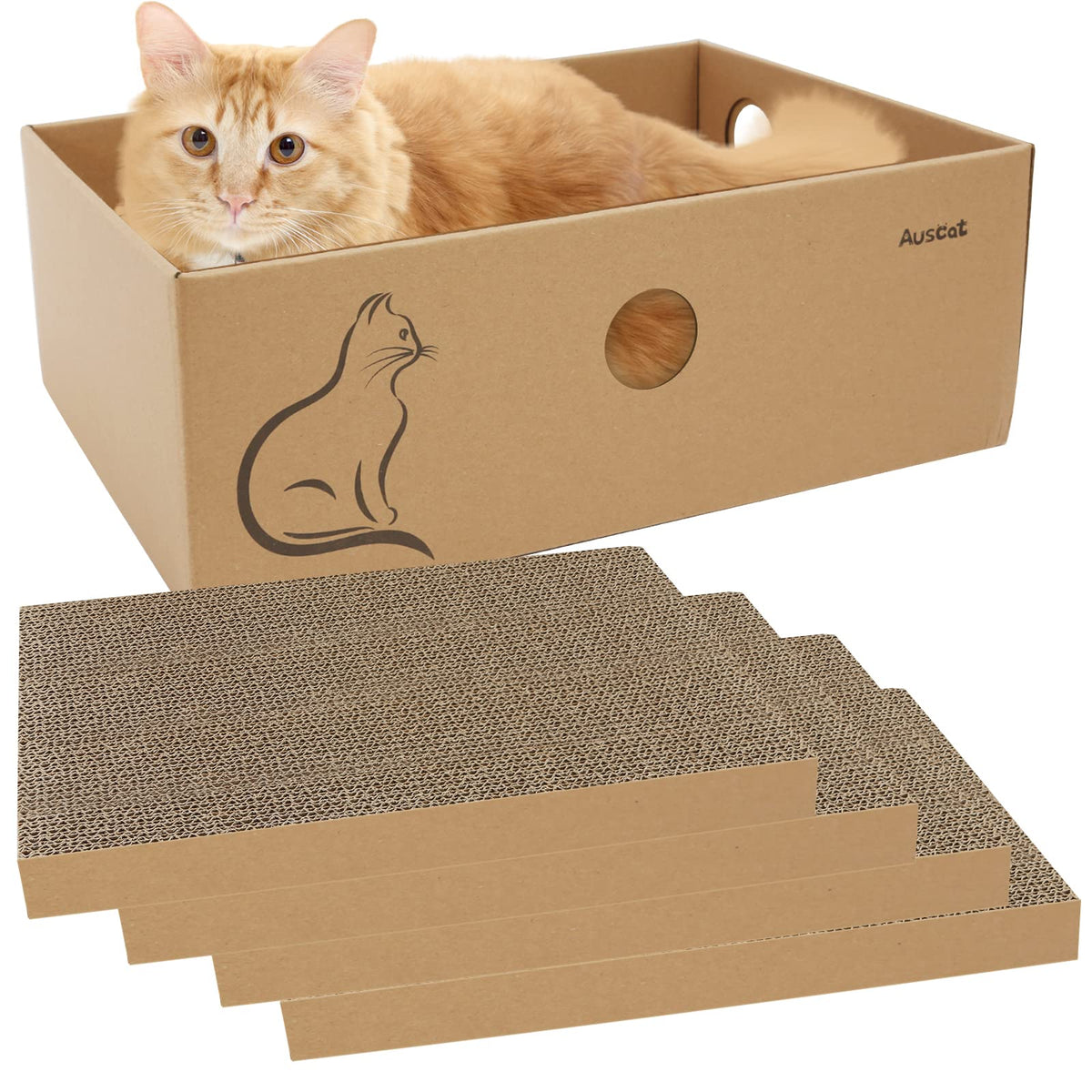 AUSCAT box and scratcher offers indoor play and gentle scratching surface