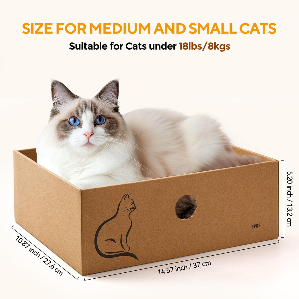 AUSCAT eco-friendly cardboard material highlights safe, non-toxic construction.