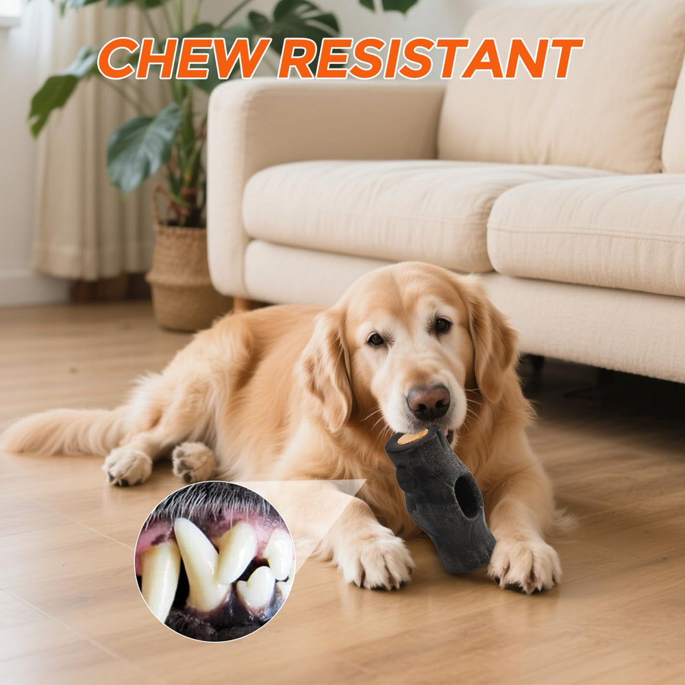 AUSCAT filled-and-frozen toy in use supports steady chewing during play.