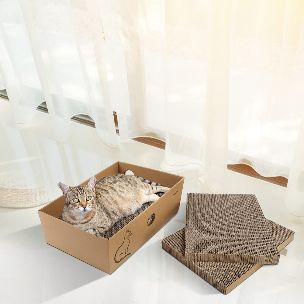 AUSCAT indoor play area with boards and box for versatile home use