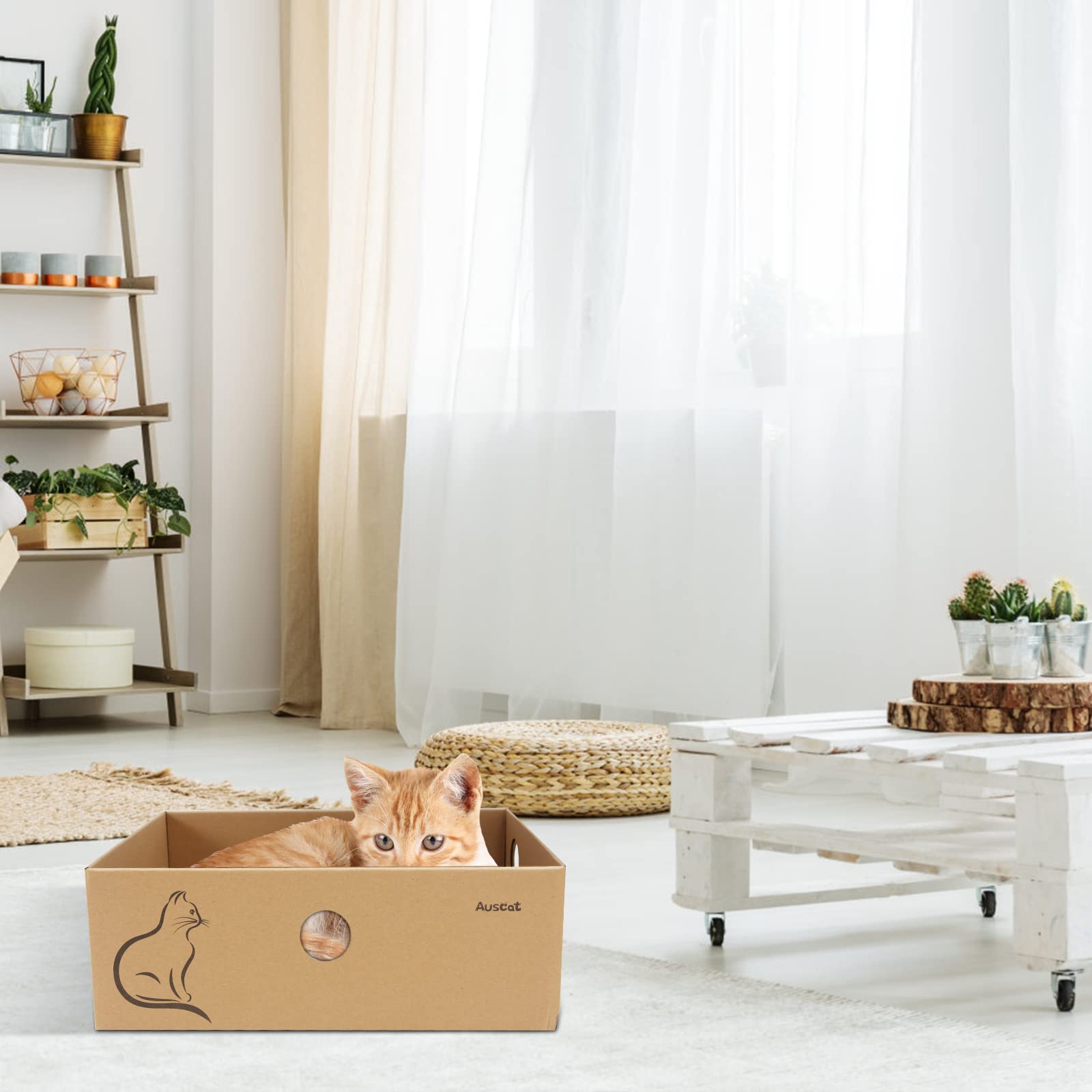AUSCAT thick cardboard construction resists tearing during play