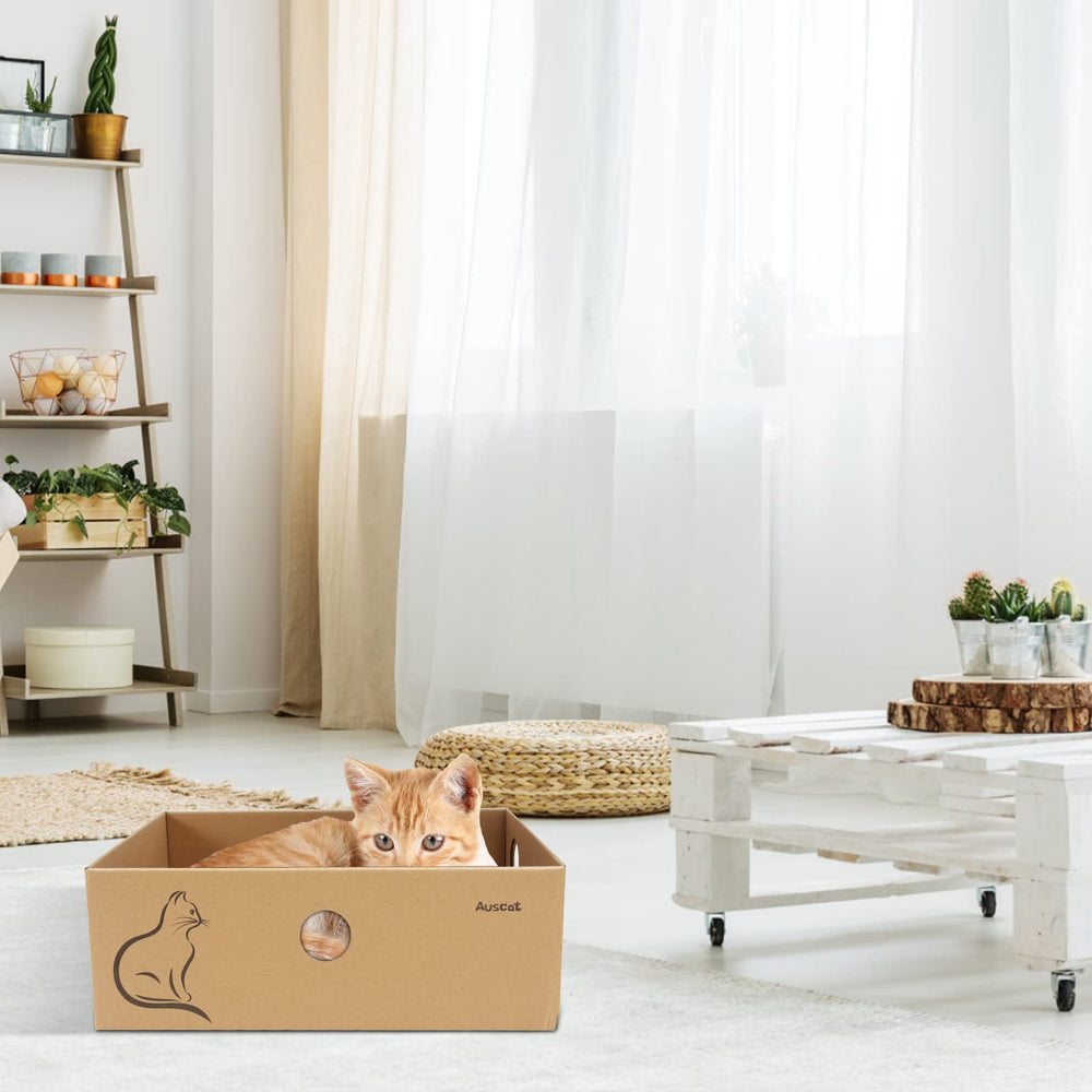 AUSCAT thick cardboard construction resists tearing during play