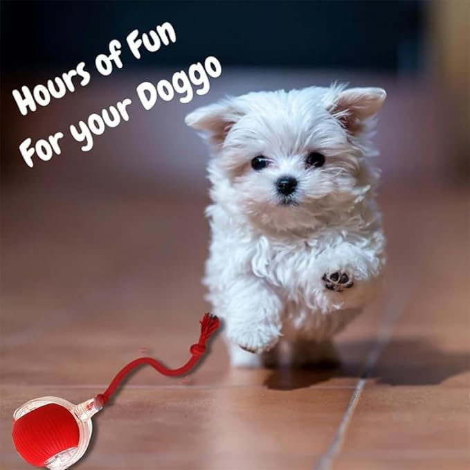 Autrety 360-degree rolling motion captures pets' attention for active fun.
