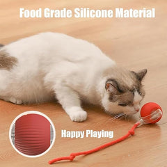 AUTRETY interactive rolling ball demonstrates automated motion for chasing play.