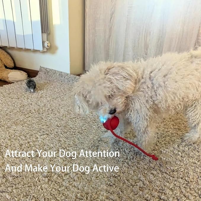 Autrety three modes—fast, slow, interactive—offer varied play experiences.