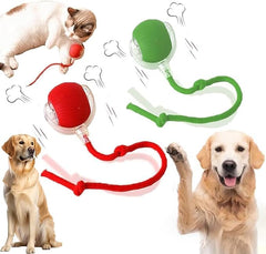 Autrety two-pack electric dog ball toy shell demonstrates durable ABS for safe play.