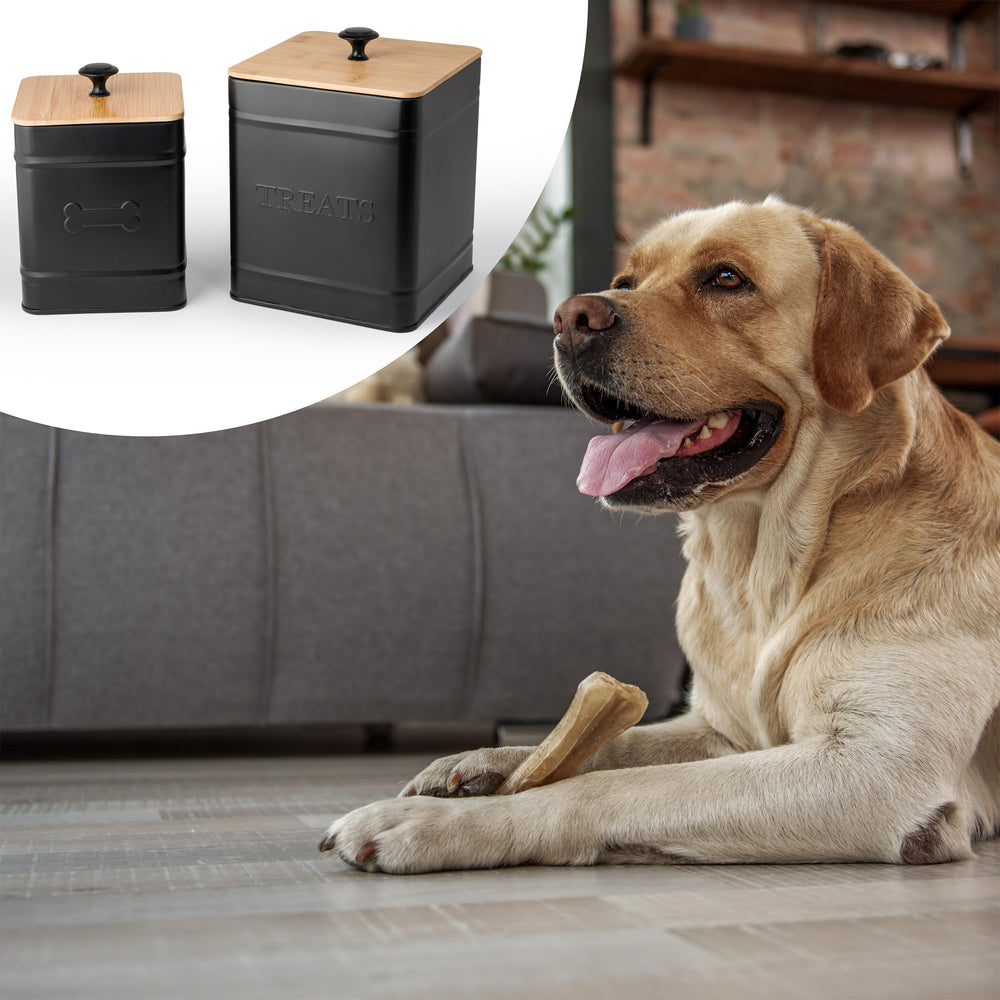 Autumn Beginnings on-countertop dog treat container keeps treats within reach during busy mornings.