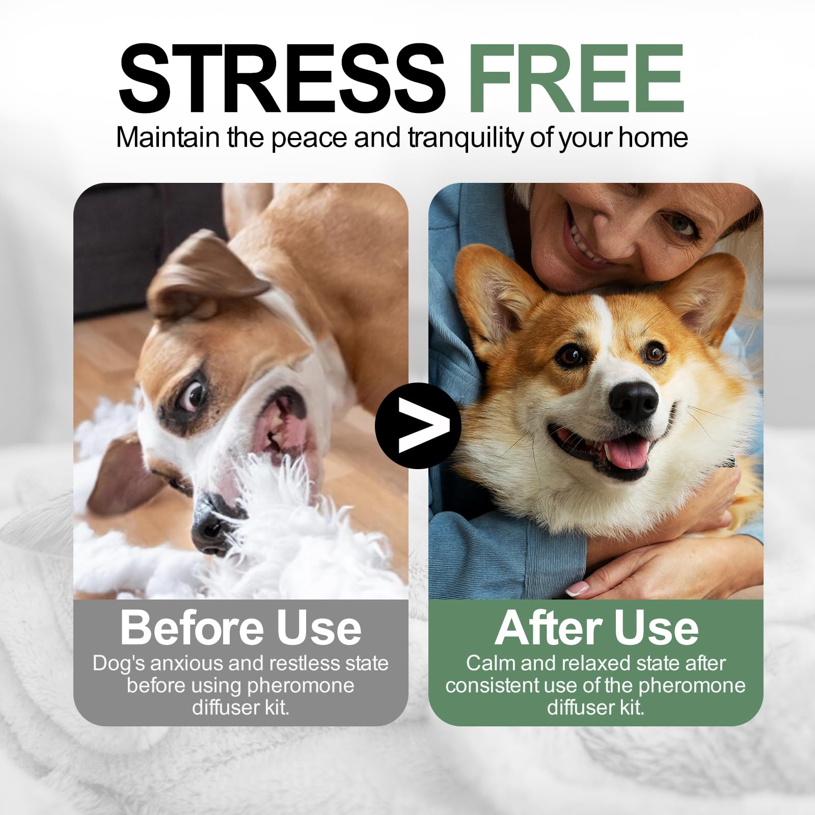 AutumnNest travel-ready diffuser pack for car trips and hotels.