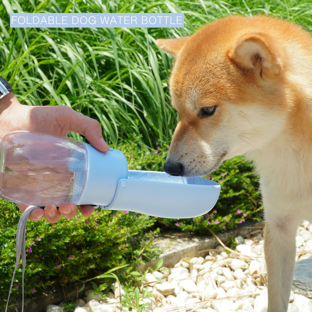 AVELORA easy-clean pet bottle with safety design for quick maintenance