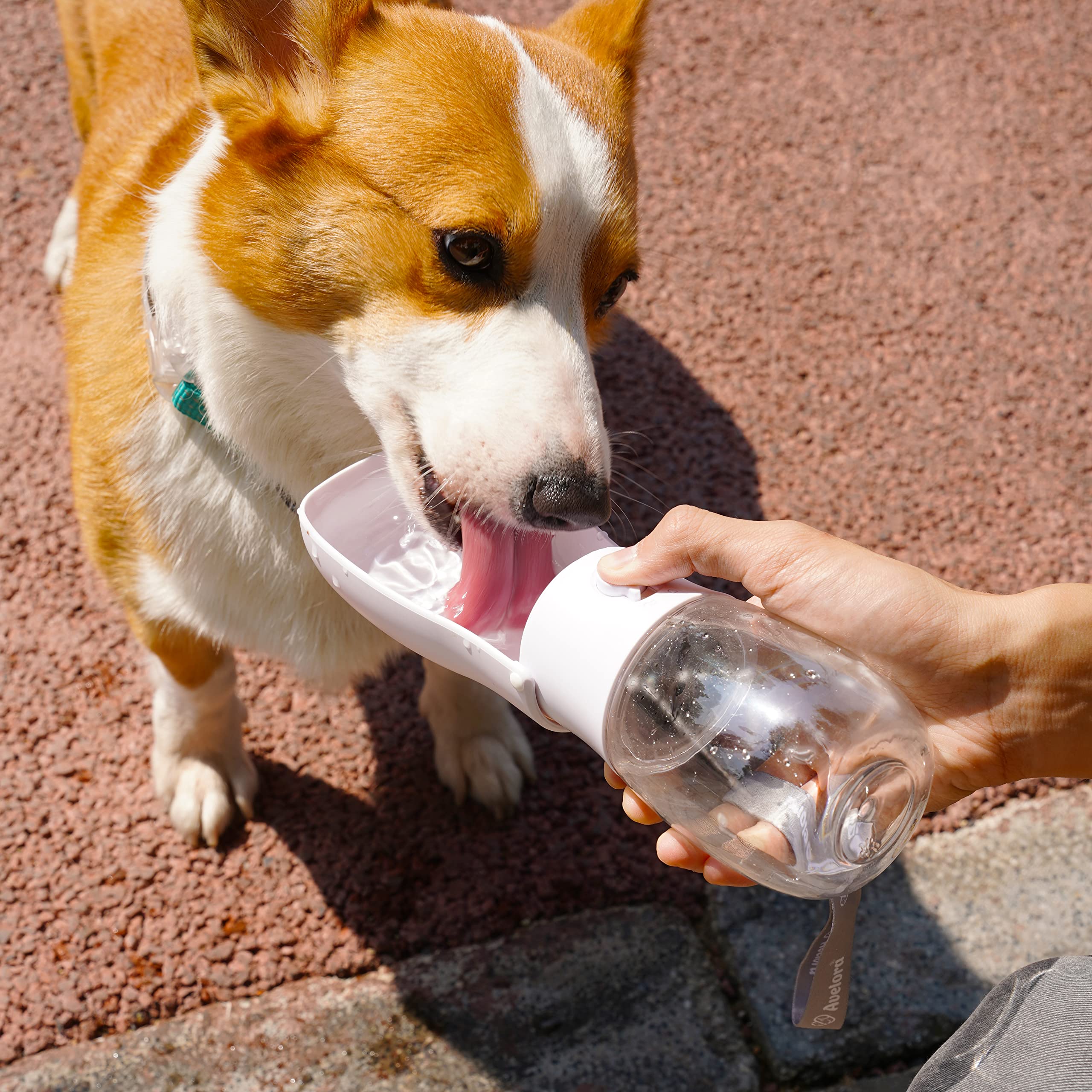 AVELORA foldable dog water bottle with leak-proof seal preventing spills on the go.