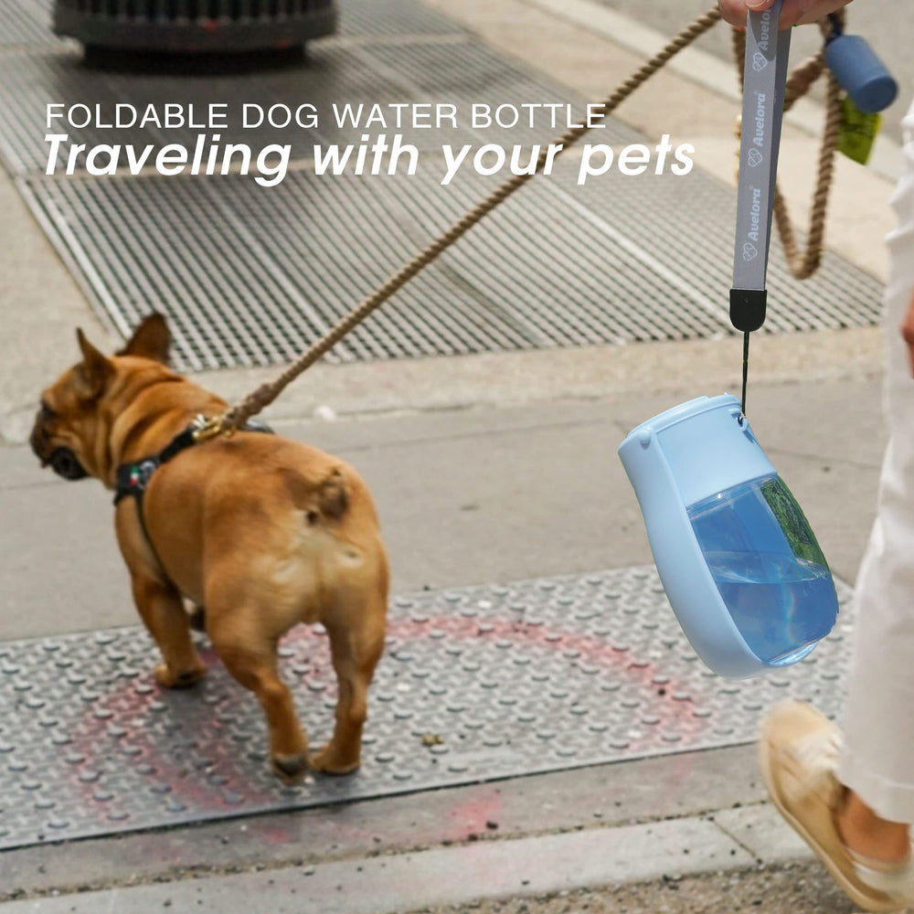 AVELORA outdoor-friendly bottle supports walks, hikes, and travel with dogs and small pets