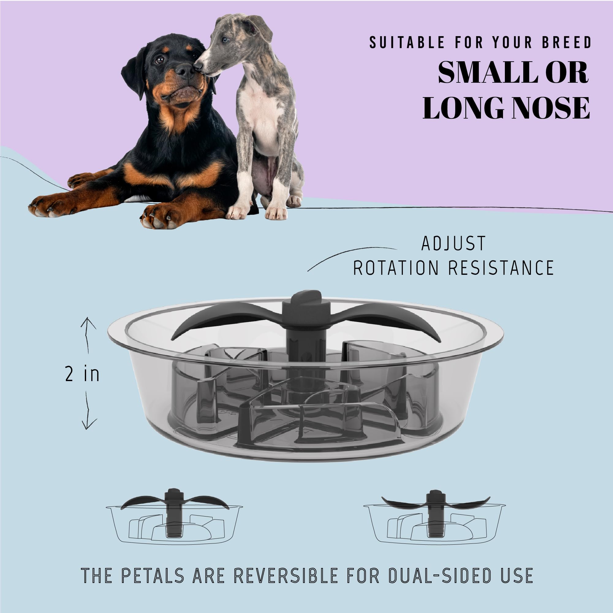 Averyday puzzle bowl for raised stands stays secure during feeding.