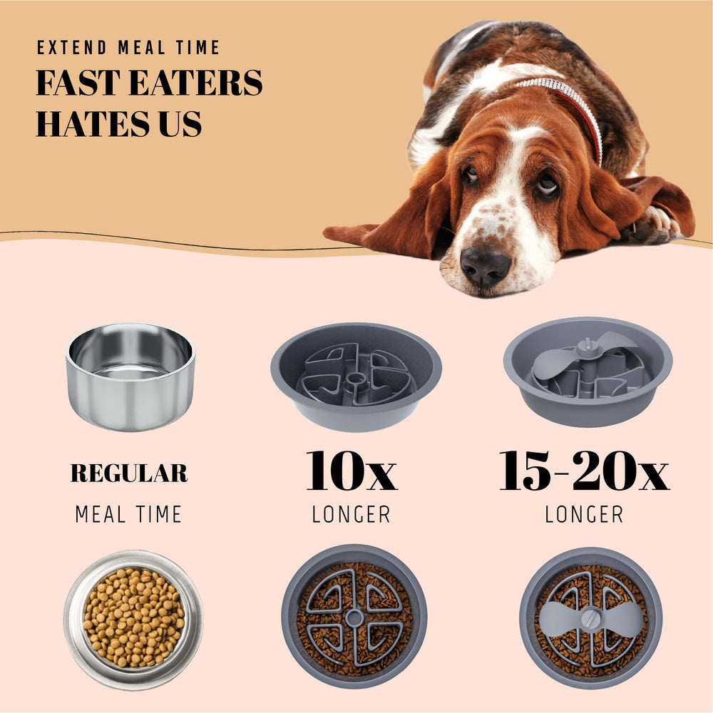 Averyday 2.5-cup slow feeder helps portion control for bigger breeds.