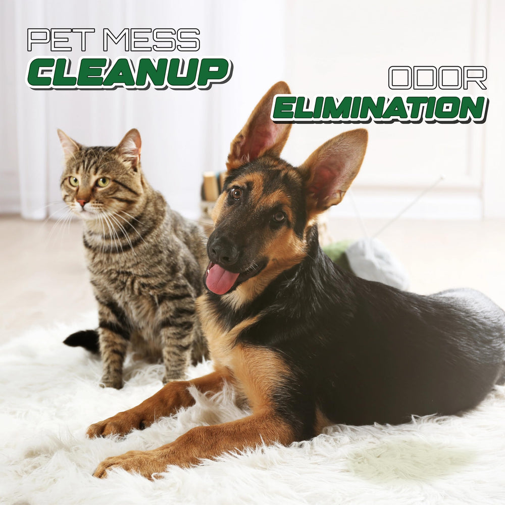 Aviano Botanicals carpet upholstery stain removal for tough pet stains.