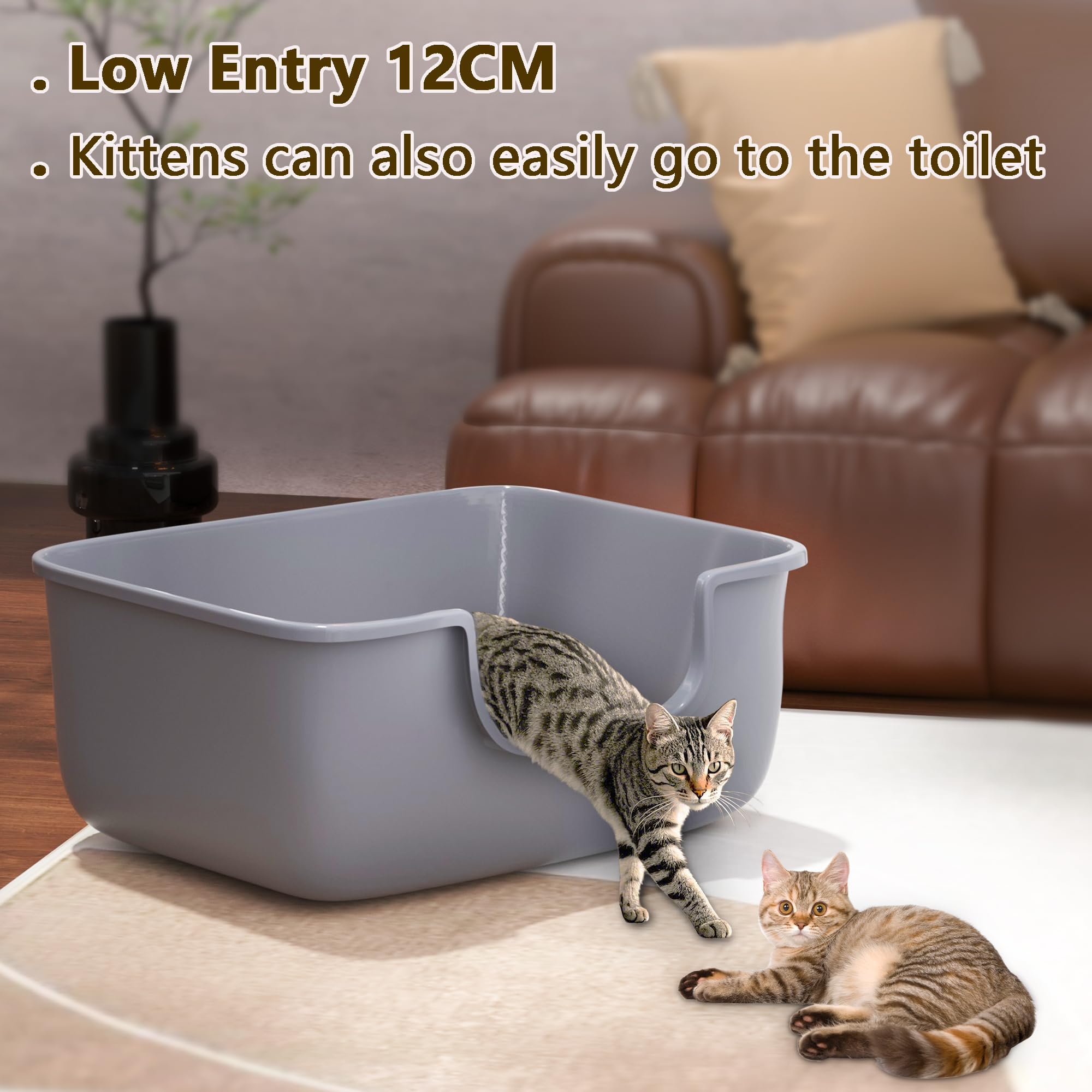 AVIUIA litter box with high-sides anti-splash design reduces scatter and keeps floors cleaner.