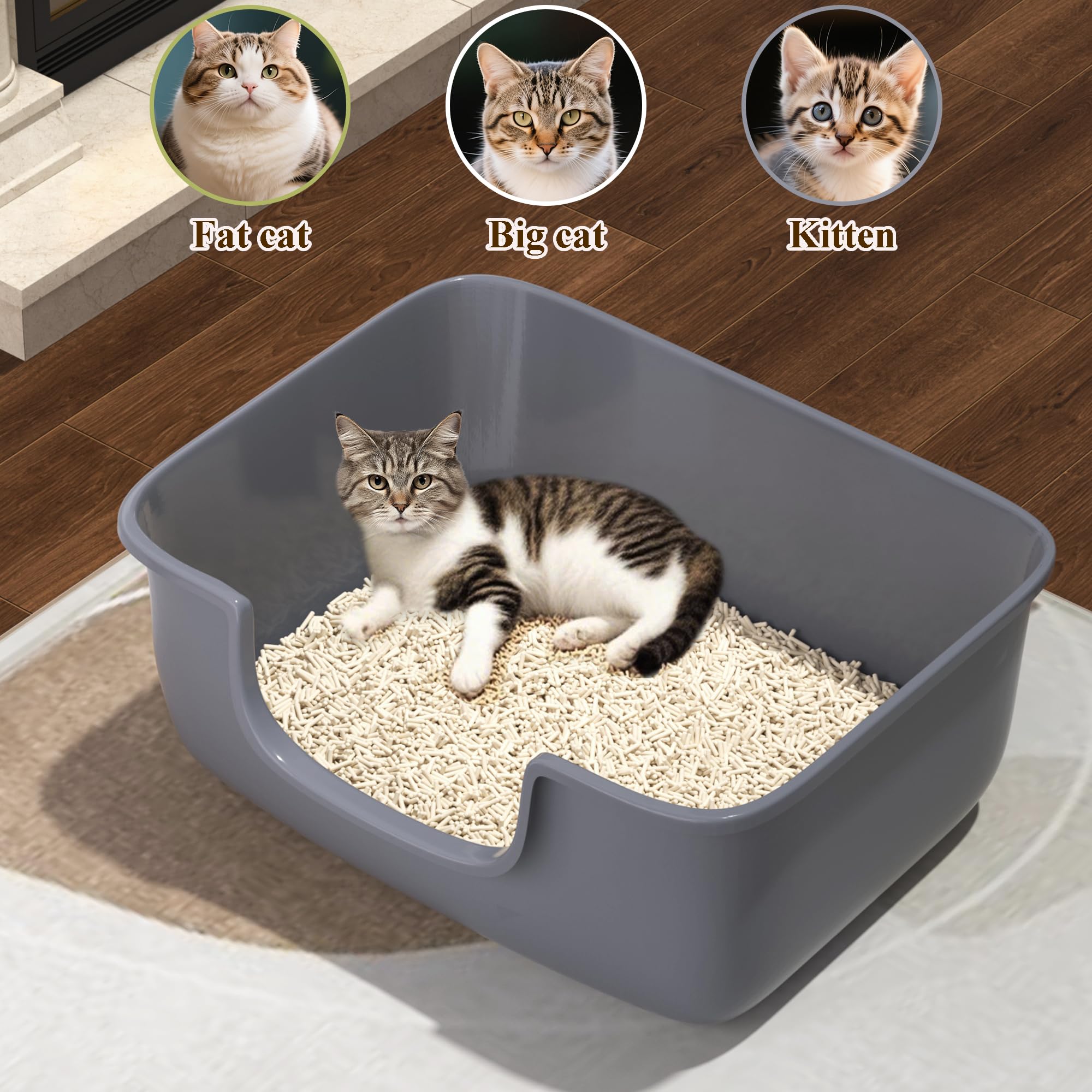 AVIUIA litter box durable PP material is BPA-free and sturdy for everyday use.
