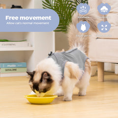 Avont cat recovery suit back view with secure back closures for a snug fit