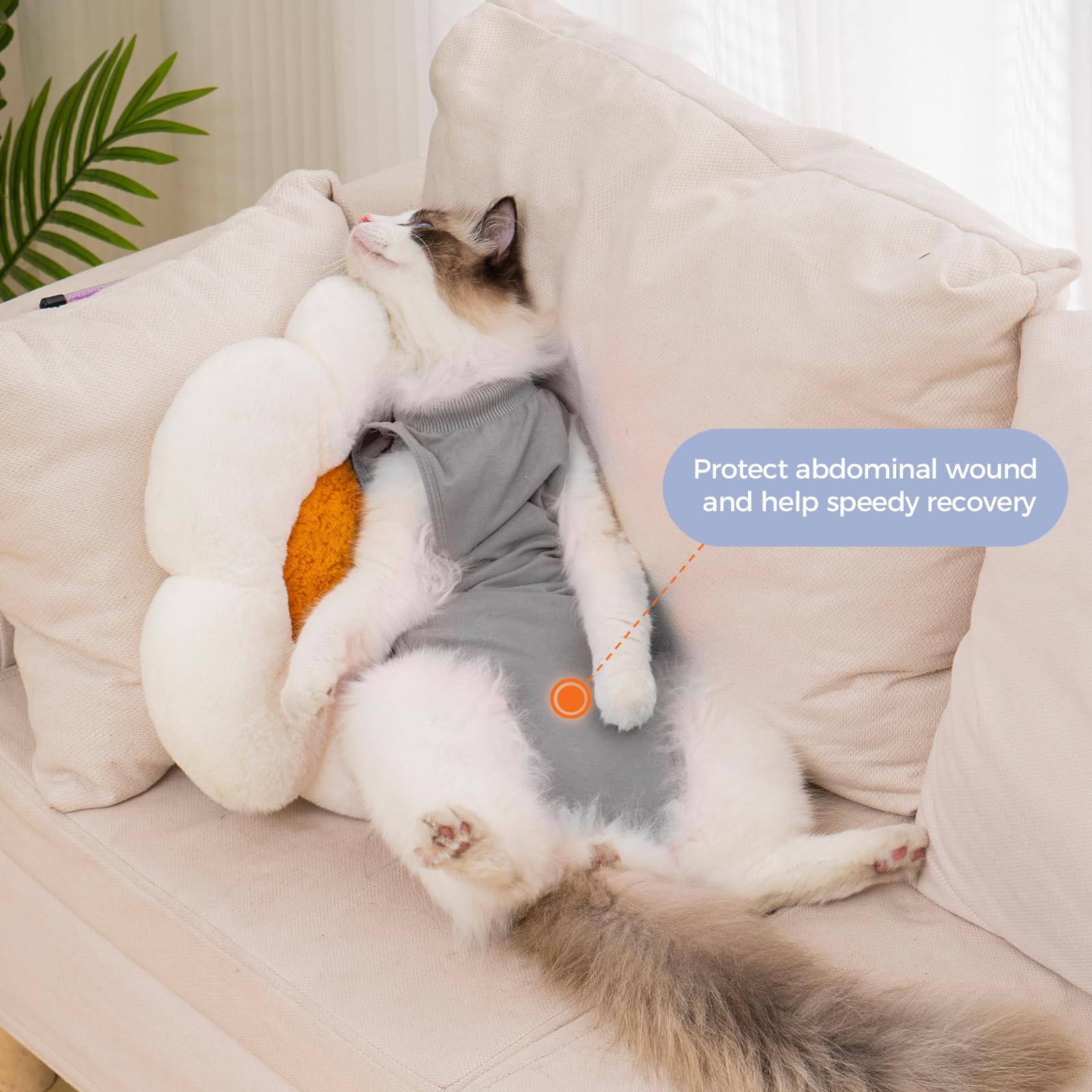 Avont cat recovery suit breathable modal cotton texture for comfortable recovery