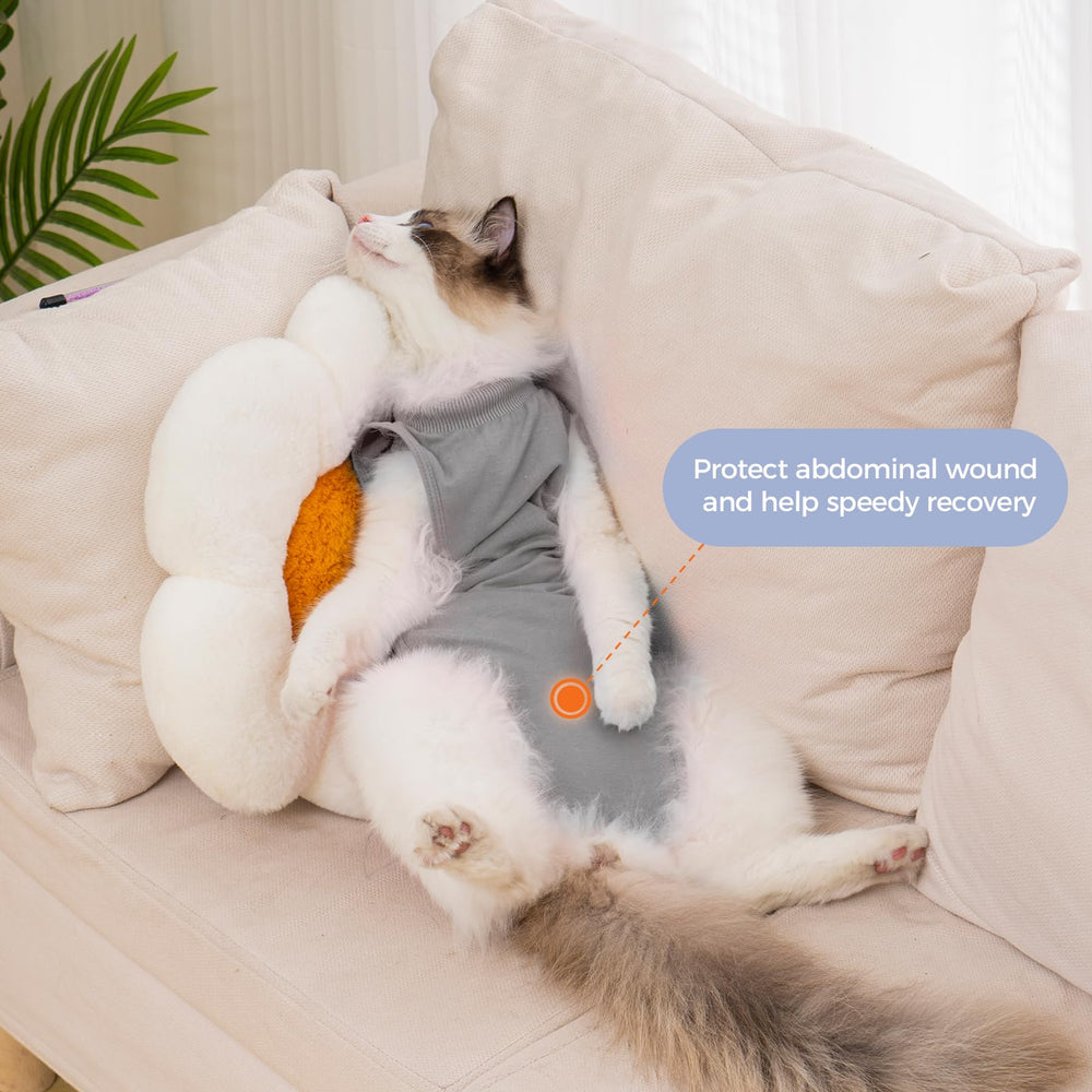 Avont cat recovery suit breathable modal cotton texture for comfortable recovery