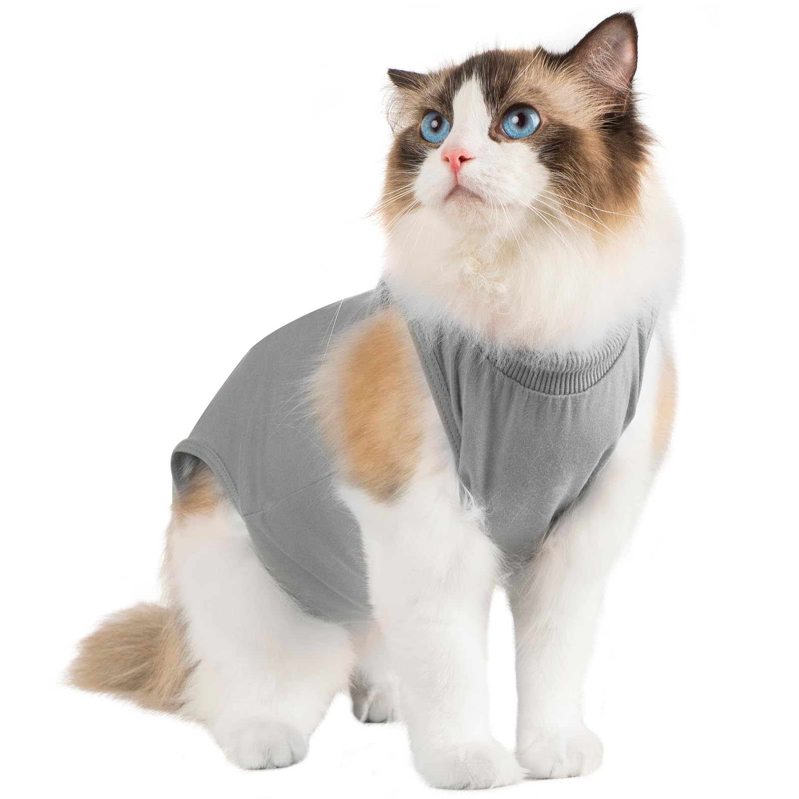 Avont cat recovery suit wound protection area highlighting incision coverage