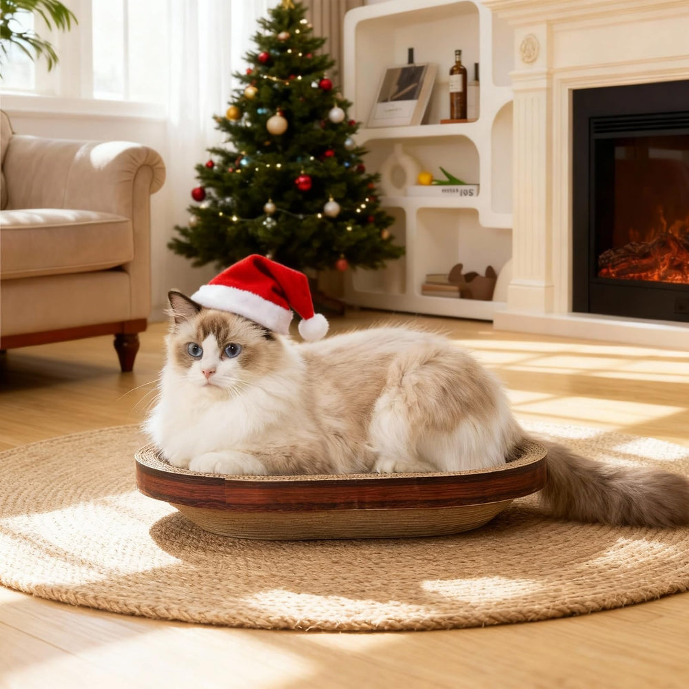 Avont Cat Scratcher Set bowl bed offers comfy lounging and gentle contoured support