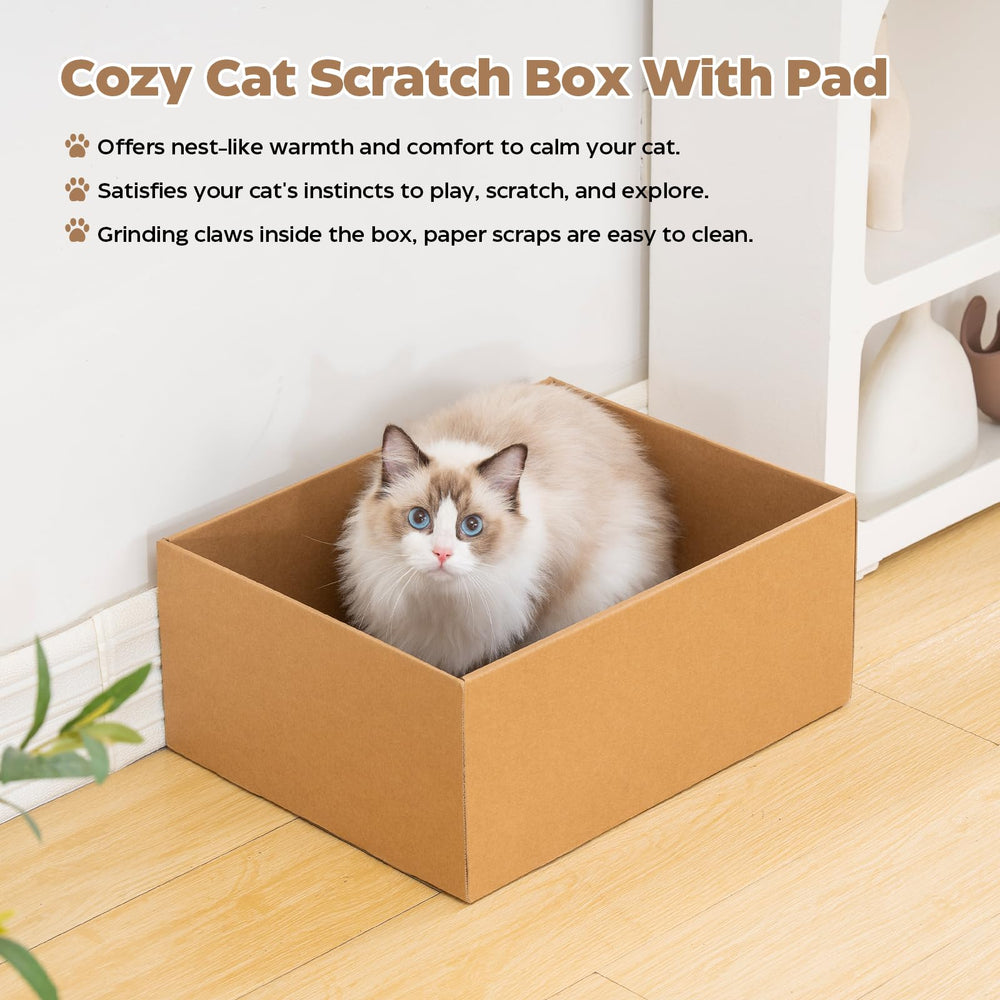 Avont Cat Scratcher Set play ball adds interactive fun and mental stimulation