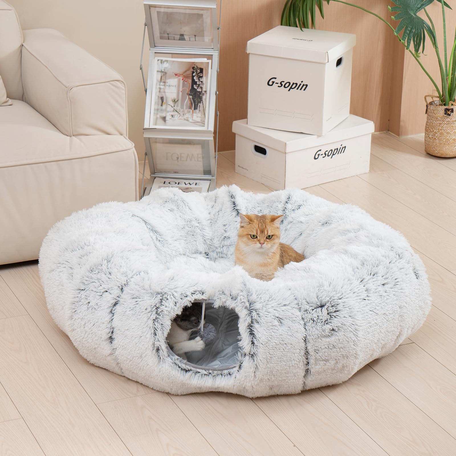 Avont cat tunnel bed circle setup demonstrates spacious play area for larger felines