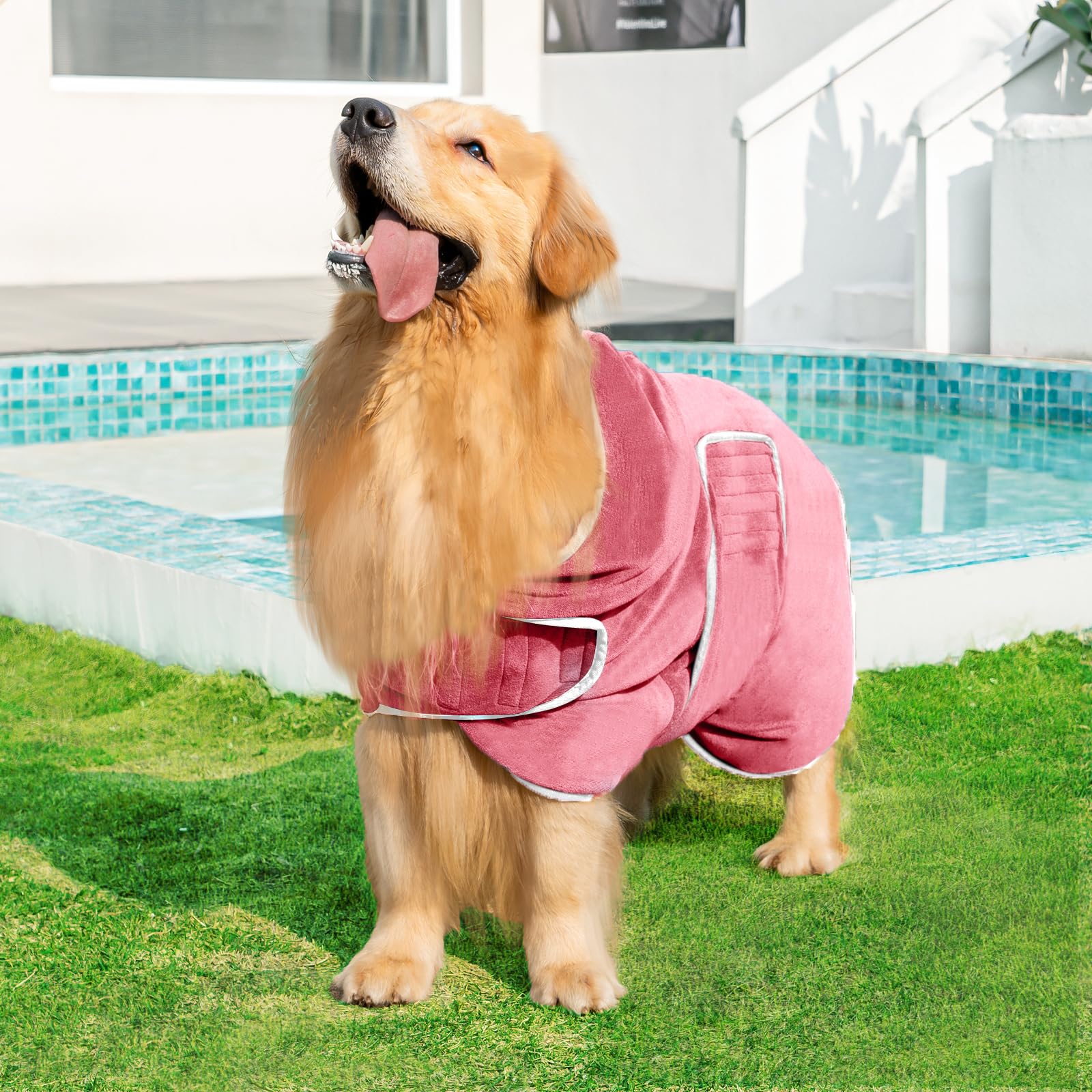 Avont Dog Bathrobe XXL ultra-absorbent microfiber in action.