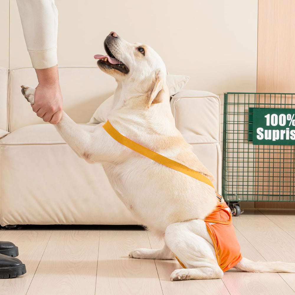 Avont diaper outer waterproof layer protects floors and furniture from accidents.