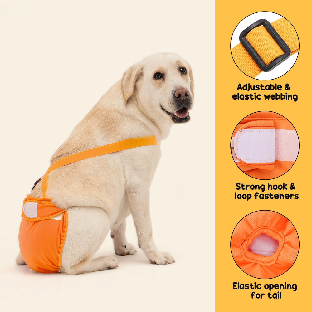Avont dog diaper strap closure demonstrates easy fit adjustments for different body shapes.