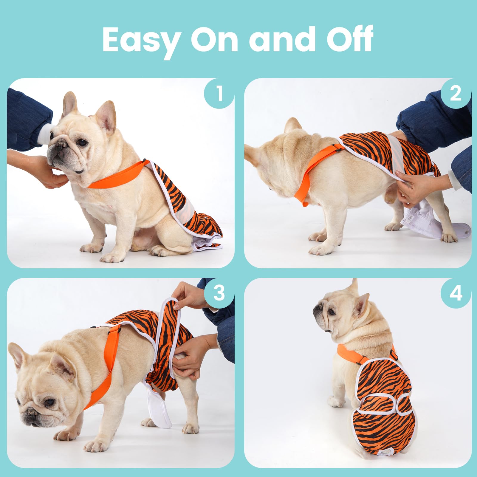 Avont dog diaper pack3 demonstrates value and reusable design.