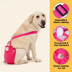 Avont diaper worn with suspenders demonstrates secure fit on a small dog.