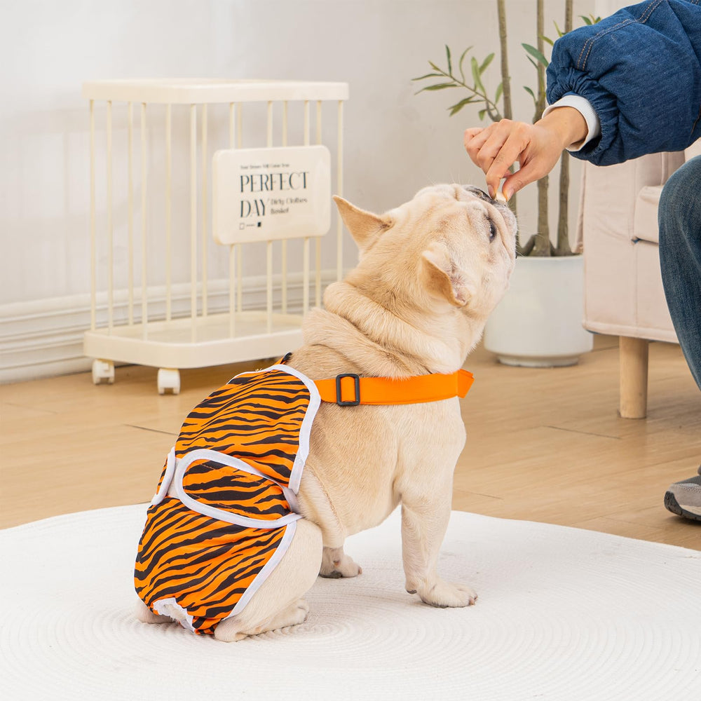 Avont Frenchie dog diaper cow print helps prevent leaks on furniture.